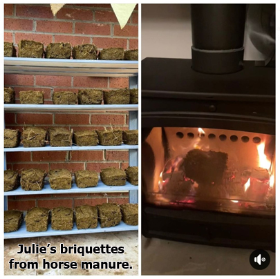 Paper Briquettes